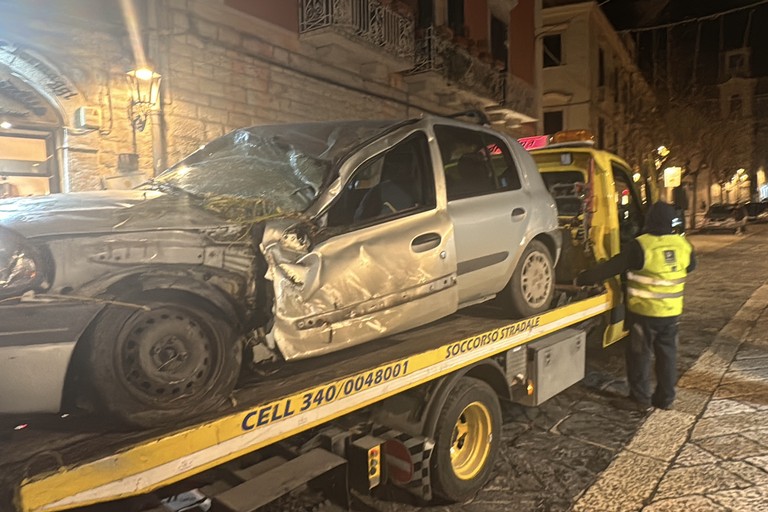 Trani Piazza LibertÃ  l'auto travolta dalla palma. <span>Foto Tonino Lacalamita</span>