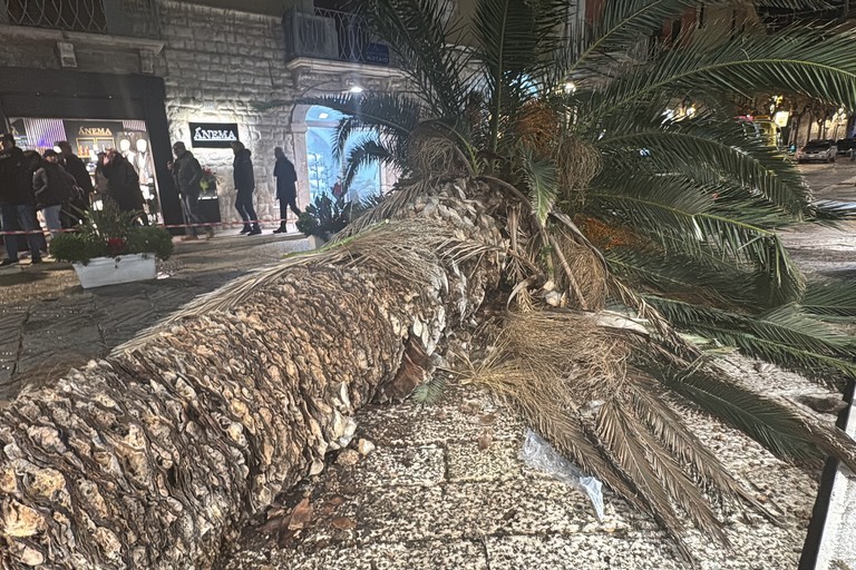 Trani Piazza Libertà. <span>Foto Tonino Lacalamita</span>