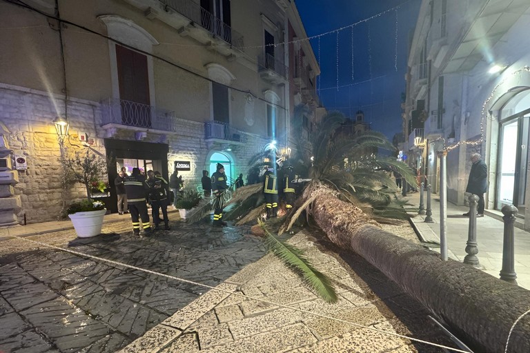 Piazza Libertà Trani. <span>Foto Tonino Lacalamita</span>