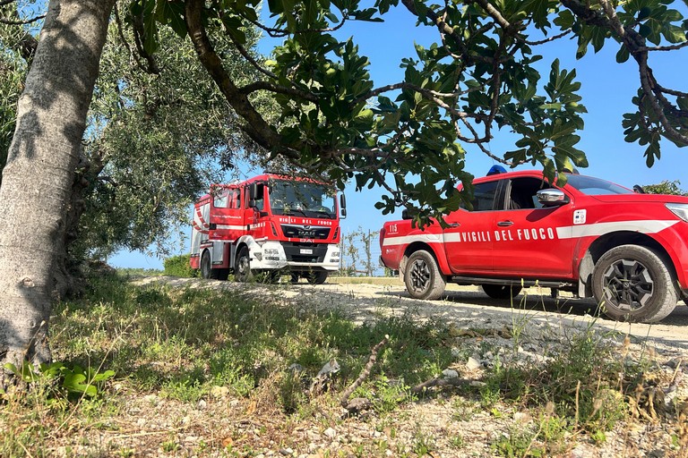 Vigili del Fuoco Trani