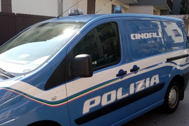 Polizia cinofila