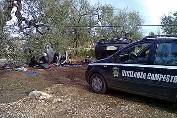 Vigilanza Campestre