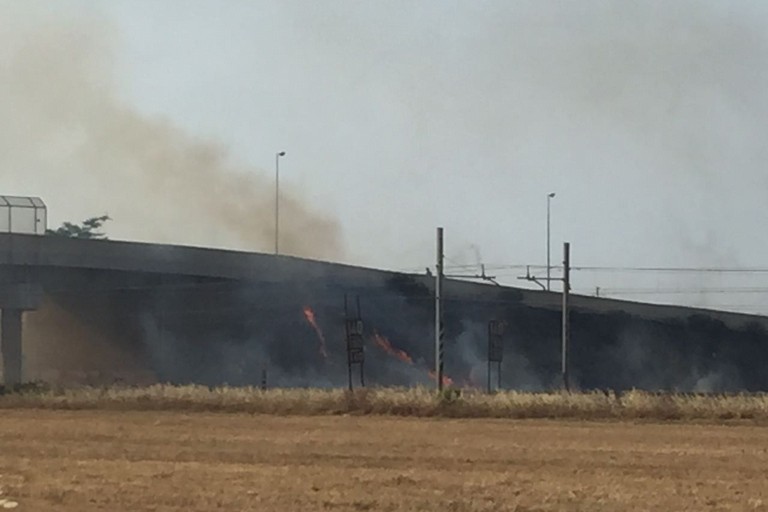 Sterpaglie in via Andria