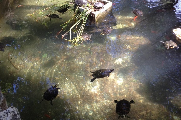 Piscina della villa comunale