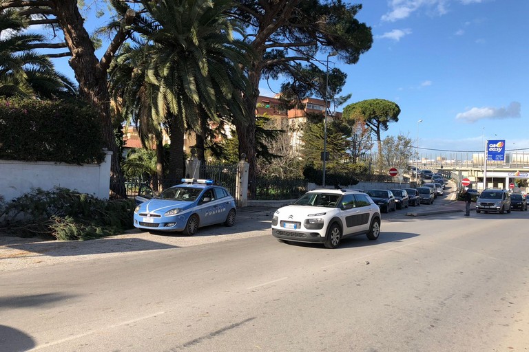 Ramo si stacca sulla 16 bis