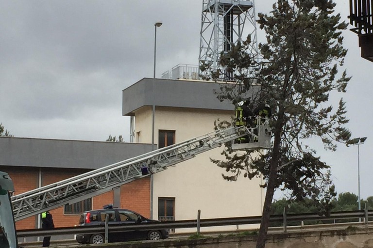 Vigili del fuoco sul cavalcavia