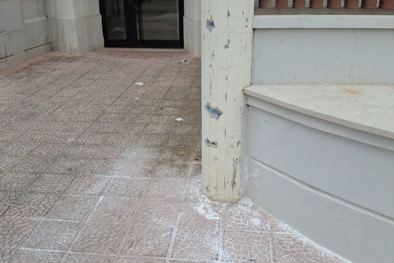 Sostanza tossica