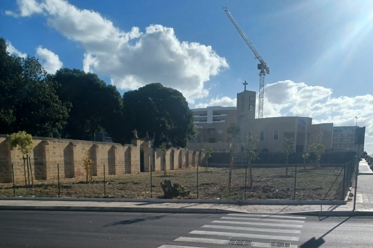 I nuovi alberi di Villa Telesio. <span>Foto Leonardo Mazzilli</span>